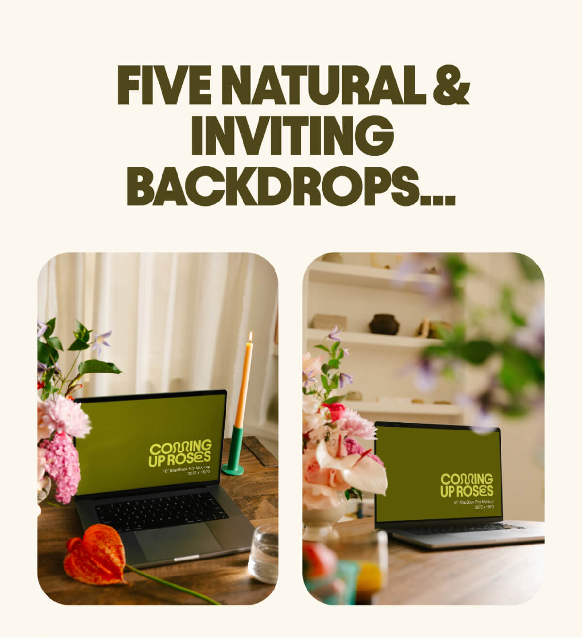 The Mockups Day Pack